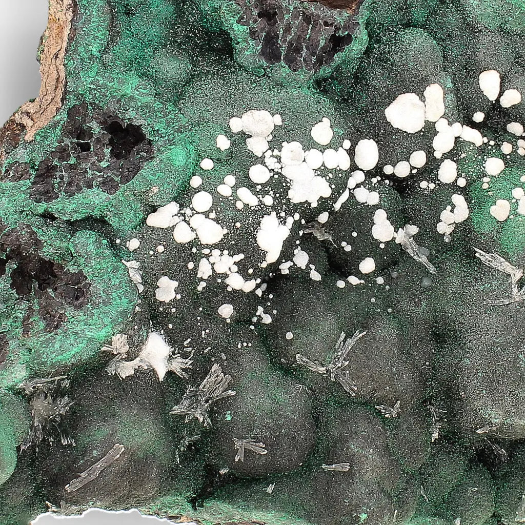 Aragonite on Botryoidal Malachite from the Katanga Copperbelt, DRC