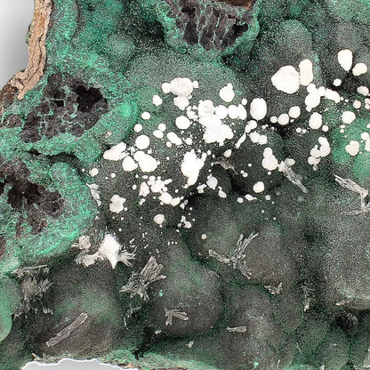 Aragonite on Botryoidal Malachite from the Katanga Copperbelt, DRC