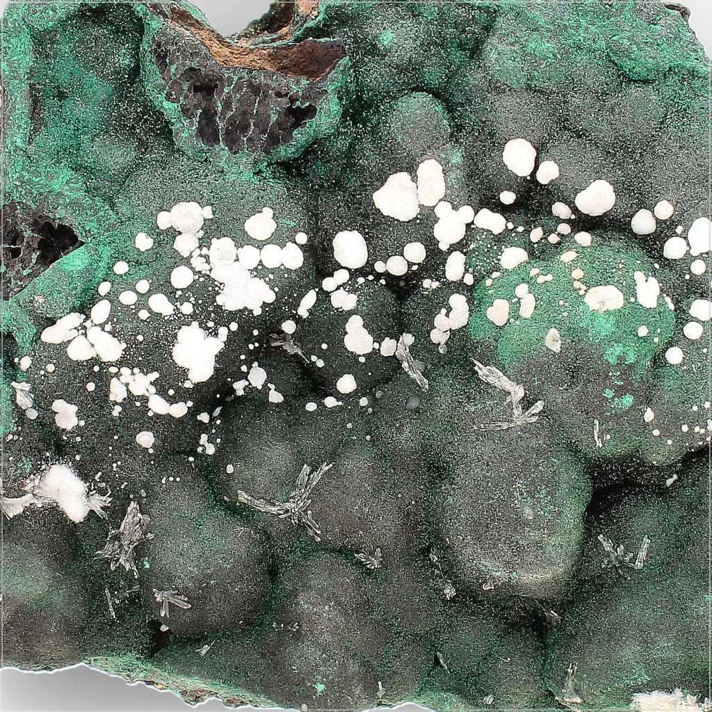 Aragonite on Botryoidal Malachite from the Katanga Copperbelt, DRC