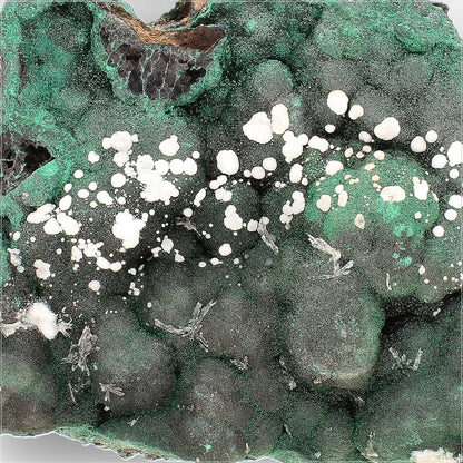 Aragonite on Botryoidal Malachite from the Katanga Copperbelt, DRC