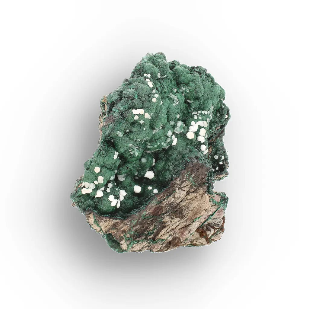 Aragonite on Botryoidal Malachite from the Katanga Copperbelt, DRC