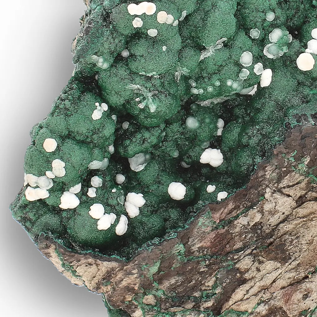 Aragonite on Botryoidal Malachite from the Katanga Copperbelt, DRC
