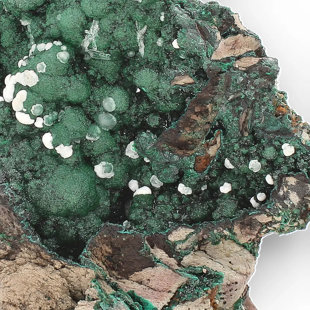 Aragonite on Botryoidal Malachite from the Katanga Copperbelt, DRC