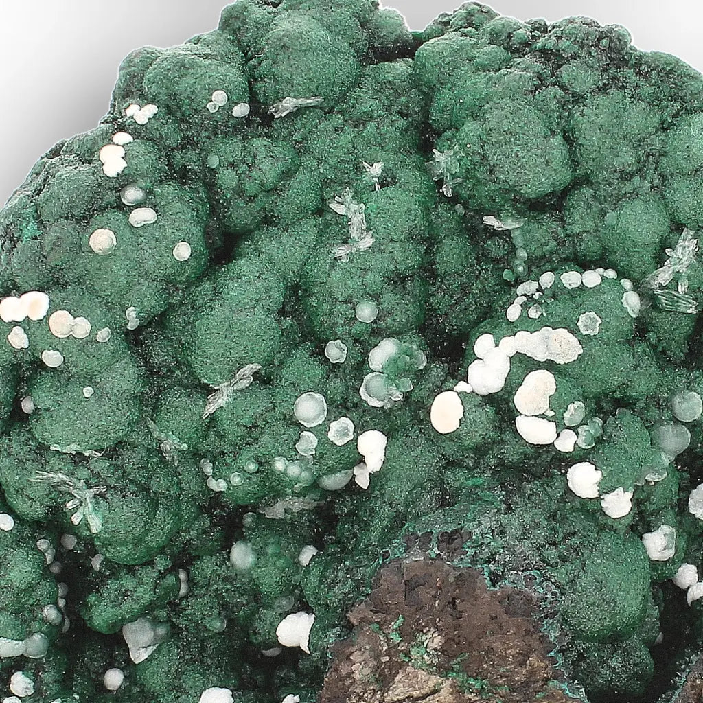 Aragonite on Botryoidal Malachite from the Katanga Copperbelt, DRC