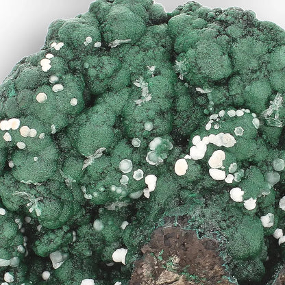 Aragonite on Botryoidal Malachite from the Katanga Copperbelt, DRC