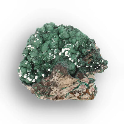 Aragonite on Botryoidal Malachite from the Katanga Copperbelt, DRC