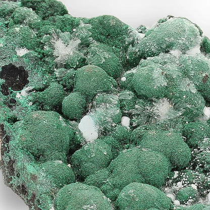 Aragonite on Botryoidal Malachite from the Katanga Copperbelt, DRC