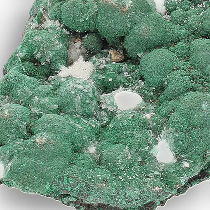 Aragonite on Botryoidal Malachite from the Katanga Copperbelt, DRC
