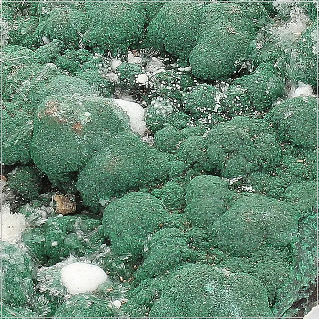 Aragonite on Botryoidal Malachite from the Katanga Copperbelt, DRC