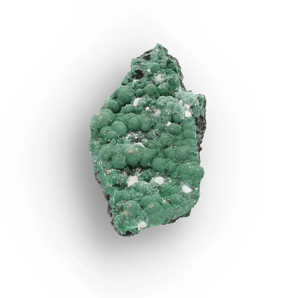 Aragonite on Botryoidal Malachite from the Katanga Copperbelt, DRC