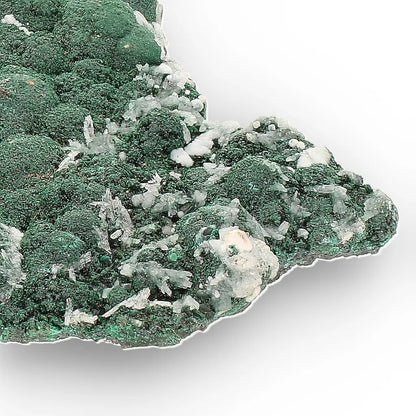 Aragonite on Botryoidal Malachite from the Katanga Copperbelt, DRC