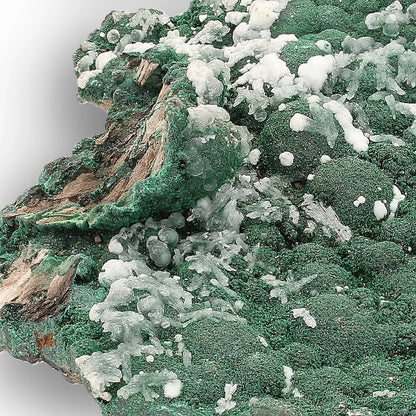 Aragonite on Botryoidal Malachite from the Katanga Copperbelt, DRC