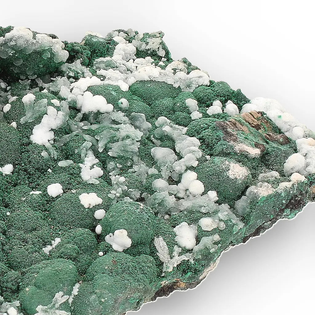 Aragonite on Botryoidal Malachite from the Katanga Copperbelt, DRC