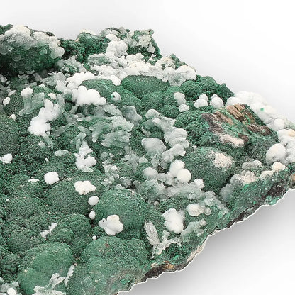 Aragonite on Botryoidal Malachite from the Katanga Copperbelt, DRC