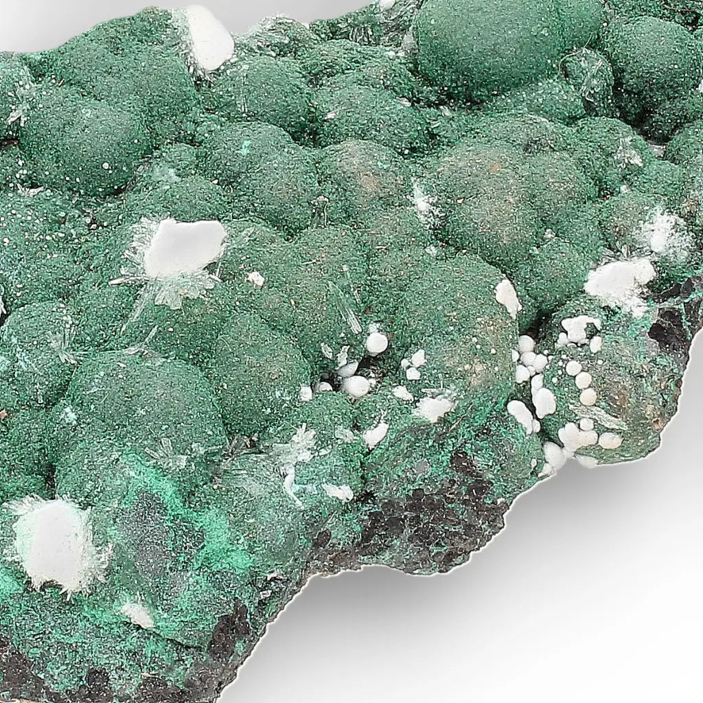 Aragonite on Botryoidal Malachite from the Katanga Copperbelt, DRC