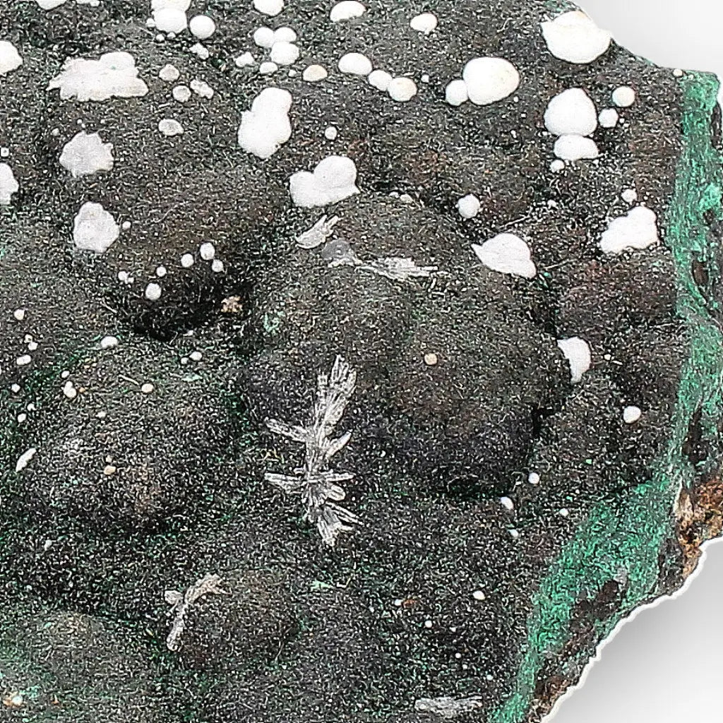 Aragonite on Botryoidal Malachite from the Katanga Copperbelt, DRC