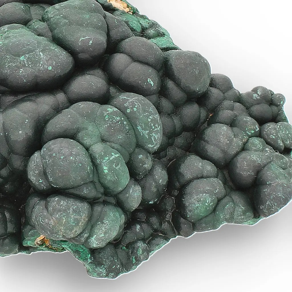 Botryoidal Malachite from the Katanga Copperbelt, DRC