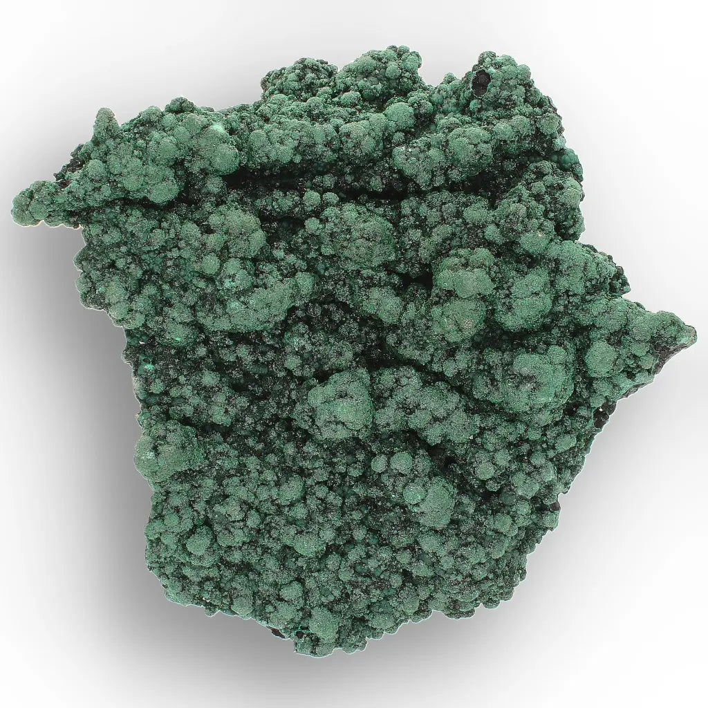 Shiny Botryoidal Malachite from the Katanga Copperbelt, DRC