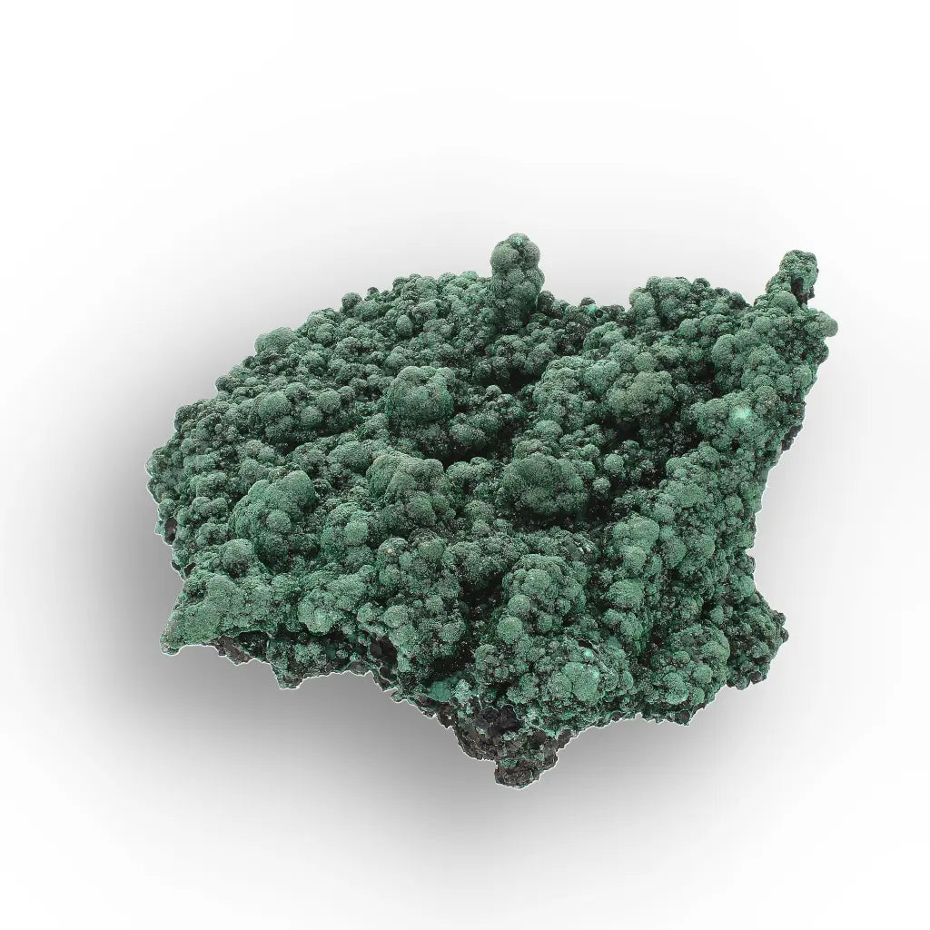 Shiny Botryoidal Malachite from the Katanga Copperbelt, DRC