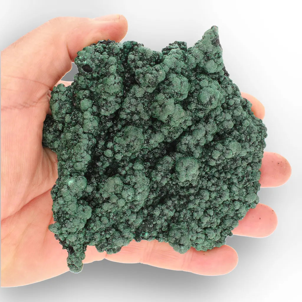 Shiny Botryoidal Malachite from the Katanga Copperbelt, DRC