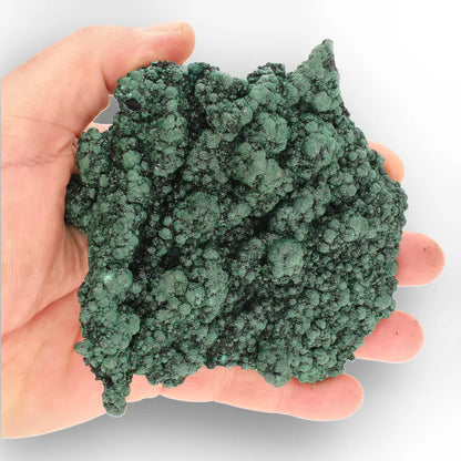 Shiny Botryoidal Malachite from the Katanga Copperbelt, DRC