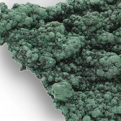Shiny Botryoidal Malachite from the Katanga Copperbelt, DRC