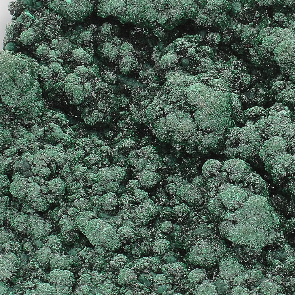 Shiny Botryoidal Malachite from the Katanga Copperbelt, DRC