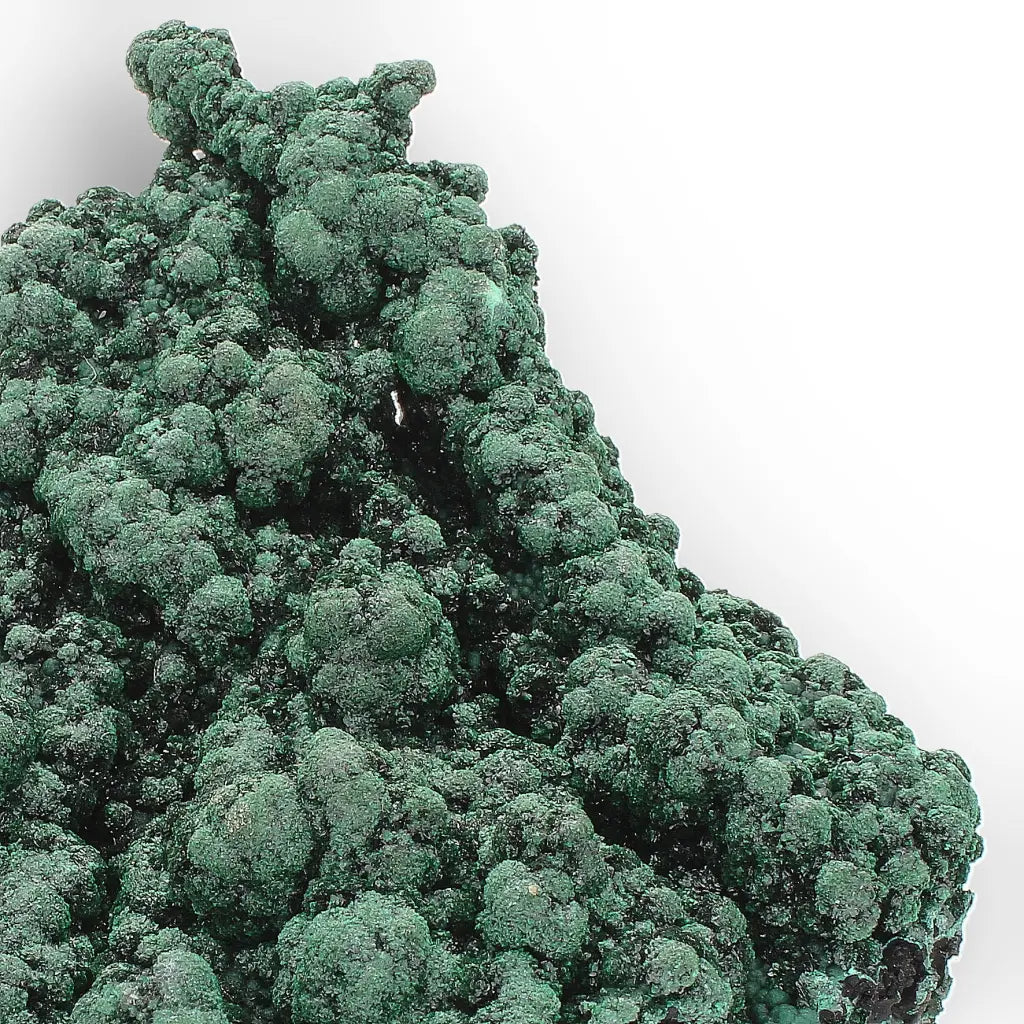 Shiny Botryoidal Malachite from the Katanga Copperbelt, DRC