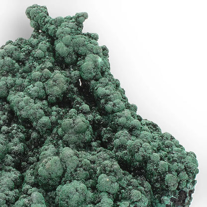 Shiny Botryoidal Malachite from the Katanga Copperbelt, DRC