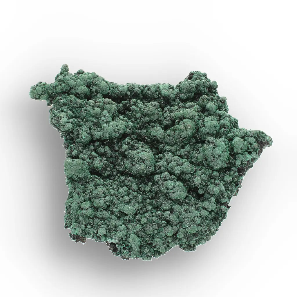 Shiny Botryoidal Malachite from the Katanga Copperbelt, DRC