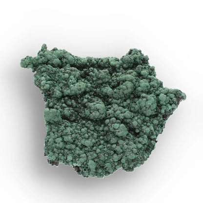 Shiny Botryoidal Malachite from the Katanga Copperbelt, DRC