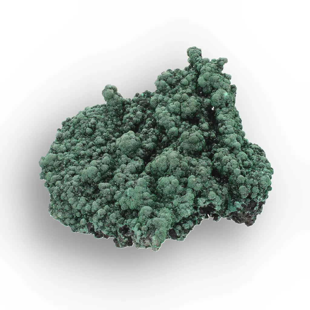 Shiny Botryoidal Malachite from the Katanga Copperbelt, DRC
