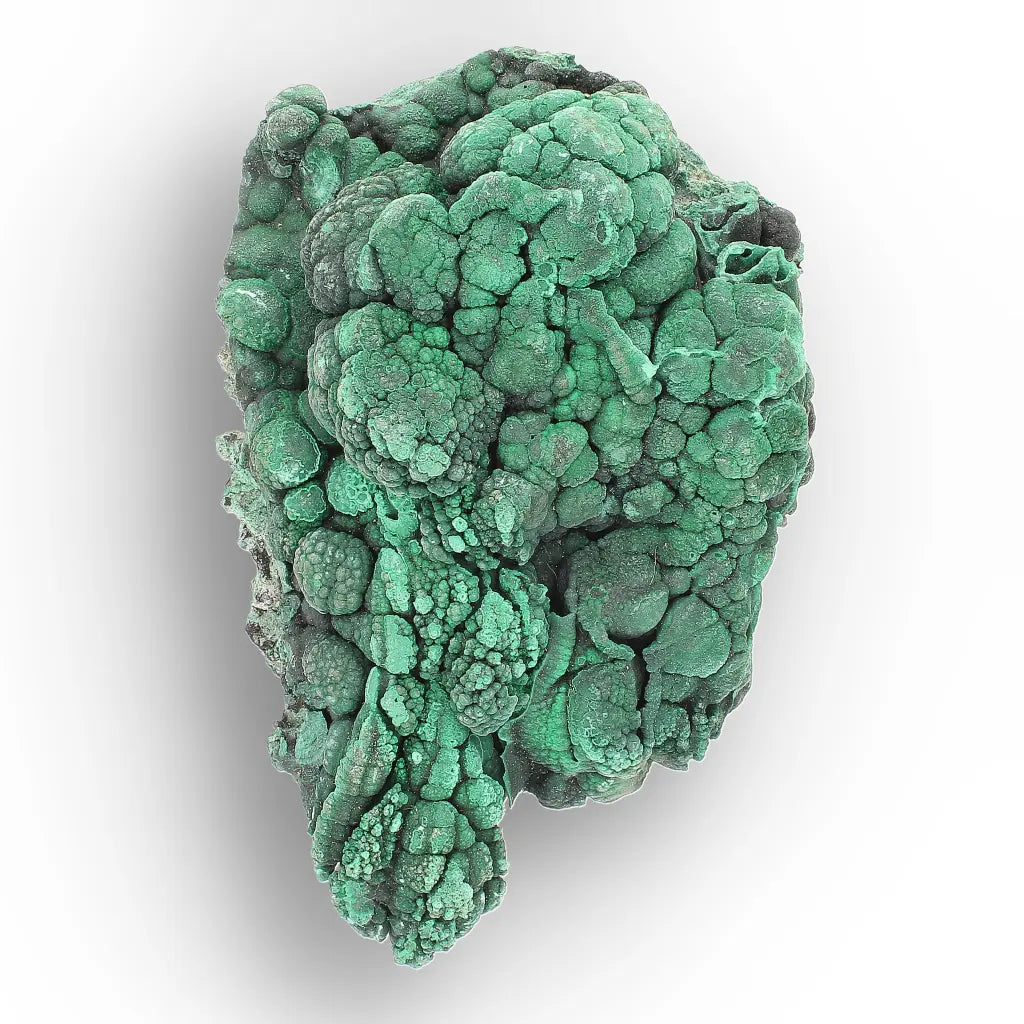 Botryoidal Malachite from the Katanga Copperbelt, DRC