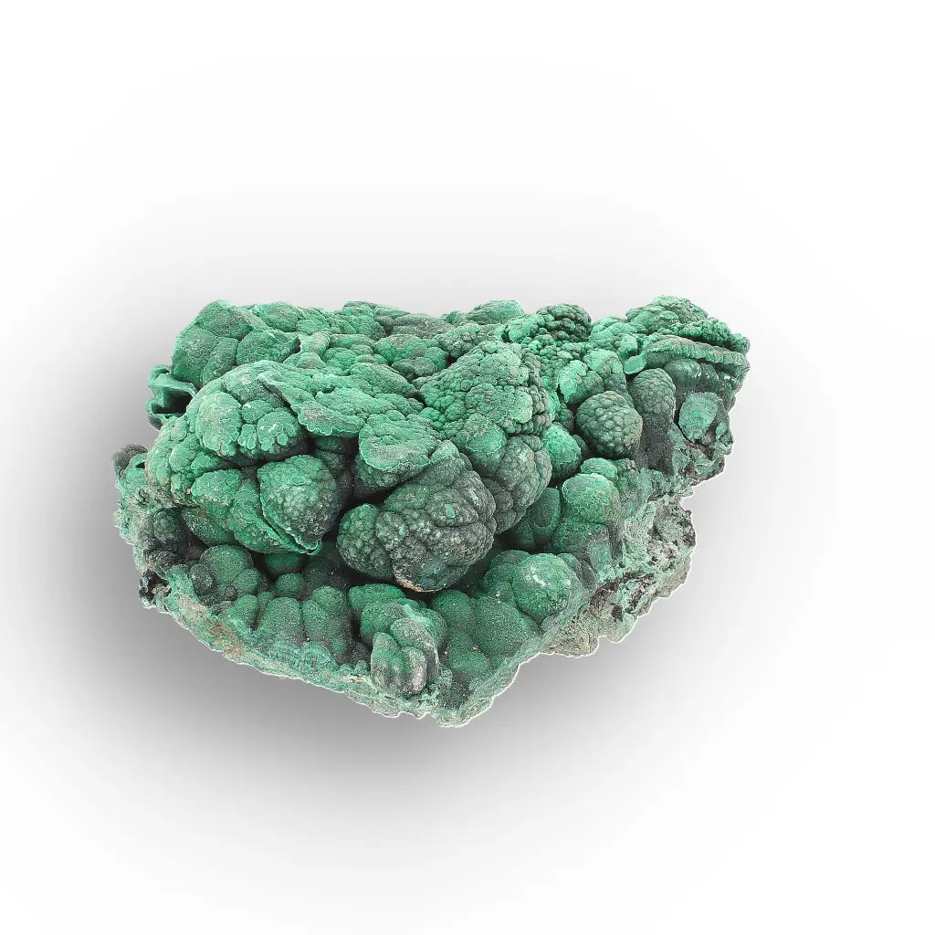 Botryoidal Malachite from the Katanga Copperbelt, DRC