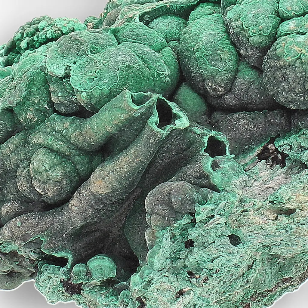Botryoidal Malachite from the Katanga Copperbelt, DRC
