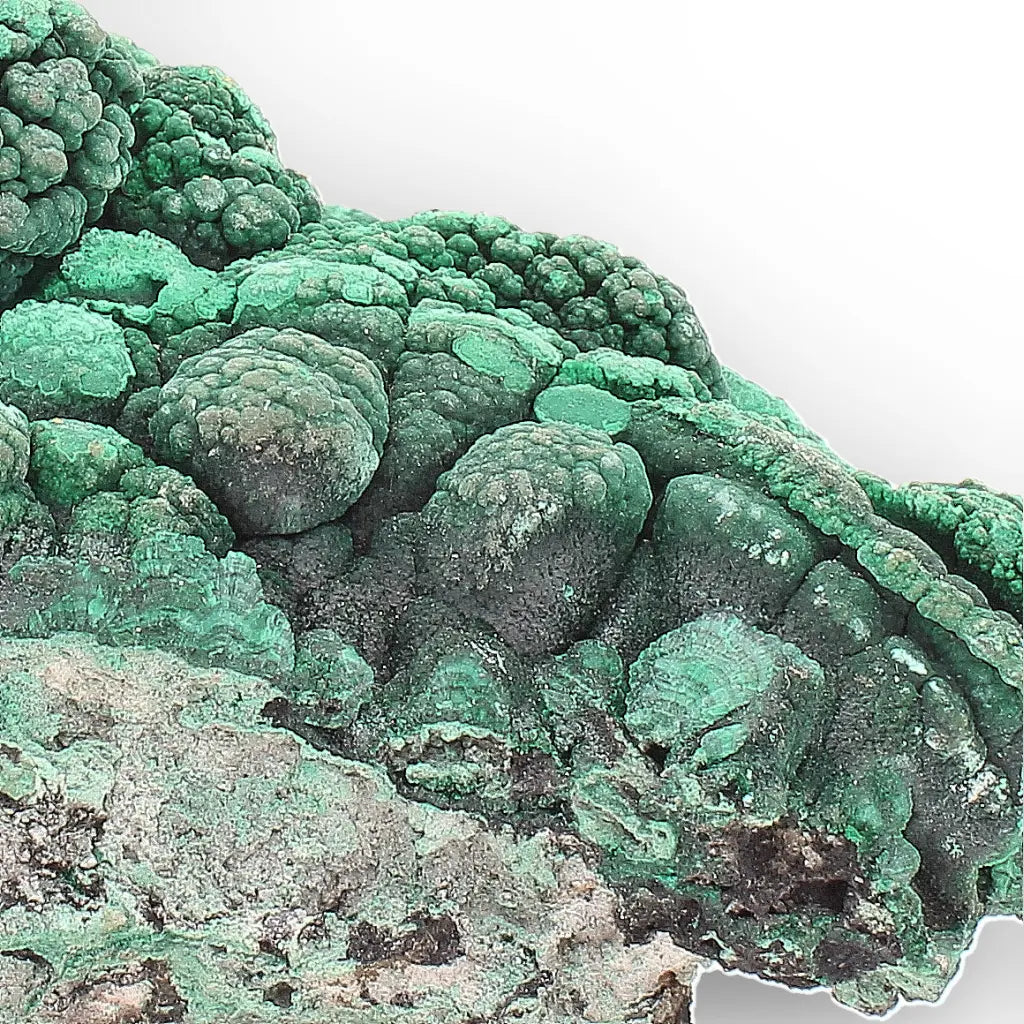 Botryoidal Malachite from the Katanga Copperbelt, DRC