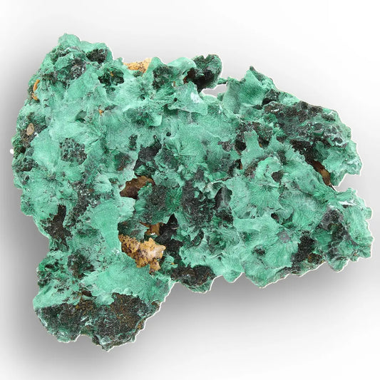 Get your Fibrous Malachite Rosette Specimen from the Katanga Copperbelt, DRC online now or in store at Forever Gems in Franschhoek, South Africa