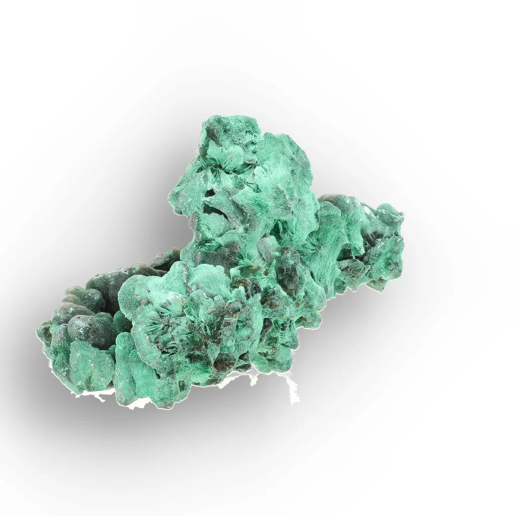 Botryoidal & Fibrous Malachite Specimen from Kolwezi, DRC