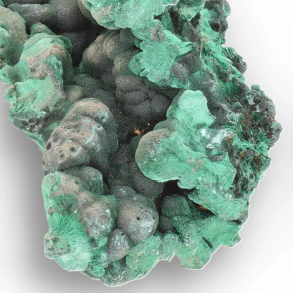 Botryoidal & Fibrous Malachite Specimen from Kolwezi, DRC