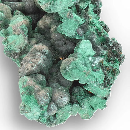 Botryoidal & Fibrous Malachite Specimen from Kolwezi, DRC