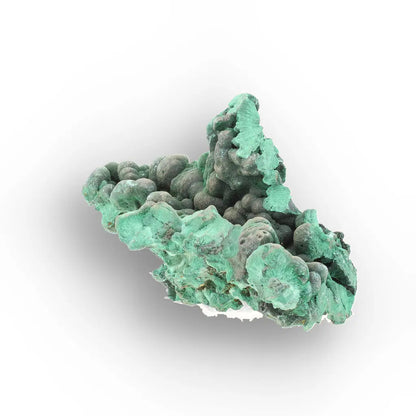 Botryoidal & Fibrous Malachite Specimen from Kolwezi, DRC