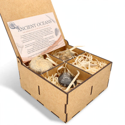 Get your Ancient Oceans Fossil Gift Box online now or in store at Forever Gems in Franschhoek, South Africa