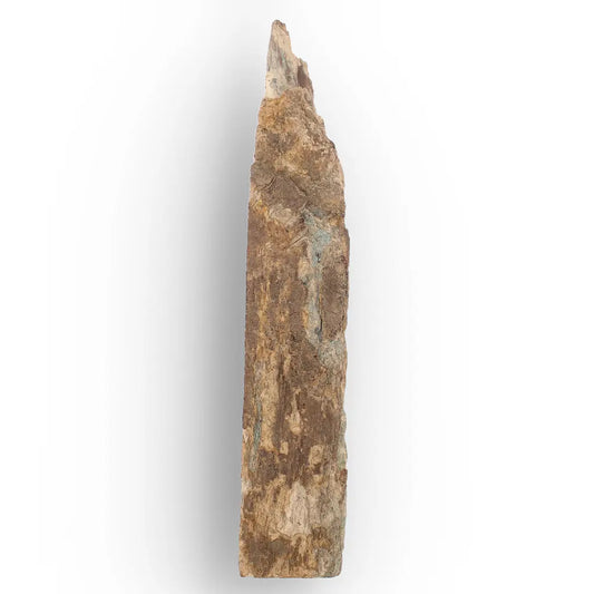 Get your Woolly Mammoth Tusk Fragment from Alaska – Ice Age Fossil online now or in store at Forever Gems in Franschhoek, South Africa
