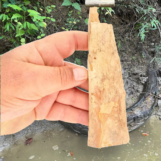 Woolly Mammoth Tusk Fragment from Alaska Ice Age Fossil