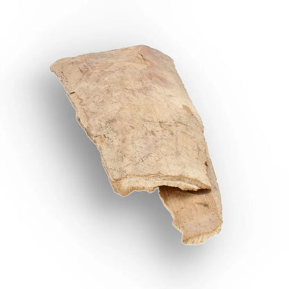 Get your Woolly Mammoth Tusk Fragment from Alaska Ice Age Fossil online now or in store at Forever Gems in Franschhoek, South Africa