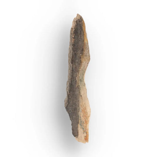 Weathered Woolly Mammoth Tusk Fragment from Alaska Fossil