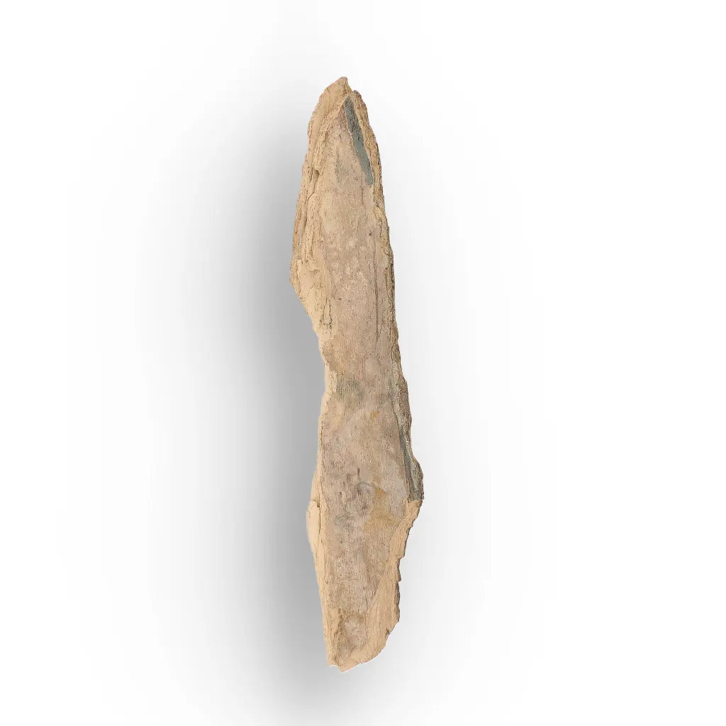 Get your Weathered Woolly Mammoth Tusk Fragment from Alaska Fossil online now or in store at Forever Gems in Franschhoek, South Africa