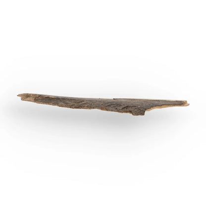 Get your Weathered Woolly Mammoth Tusk Fragment from Alaska Fossil online now or in store at Forever Gems in Franschhoek, South Africa