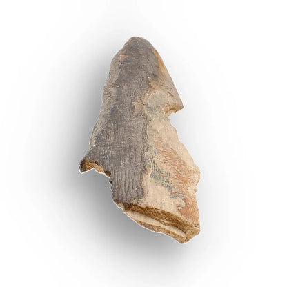 Get your Weathered Woolly Mammoth Tusk Fragment from Alaska Fossil online now or in store at Forever Gems in Franschhoek, South Africa