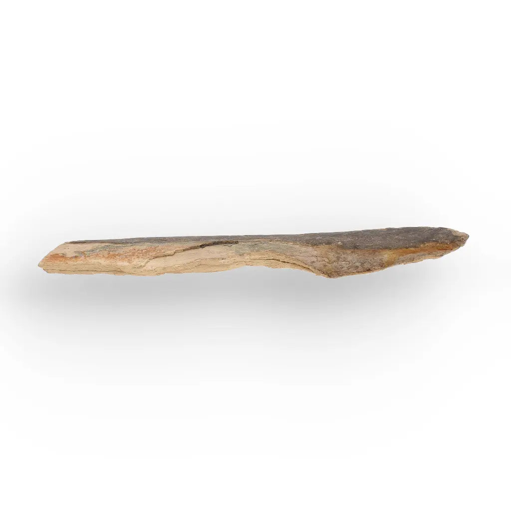 Get your Weathered Woolly Mammoth Tusk Fragment from Alaska Fossil online now or in store at Forever Gems in Franschhoek, South Africa